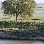 Purple House Saint-Valery-sur-Somme