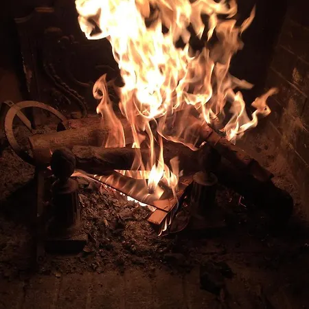 Δωμάτια σε οικογενειακή κατοικία Purple House *