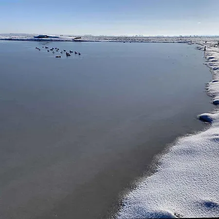 Purple House Δωμάτια σε οικογενειακή κατοικία