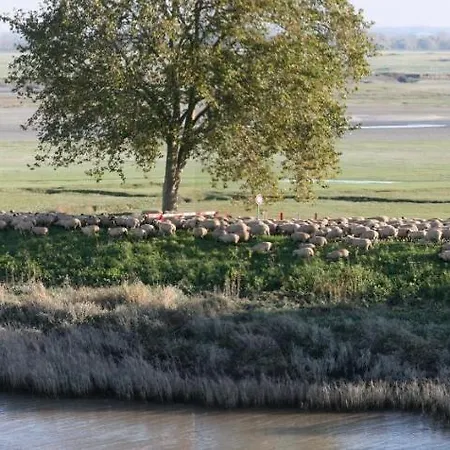 Purple House Saint-Valéry-sur-Somme