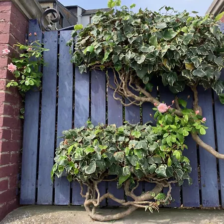 Purple House Rum i privatbostad *