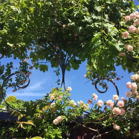 Purple House Rum i privatbostad *