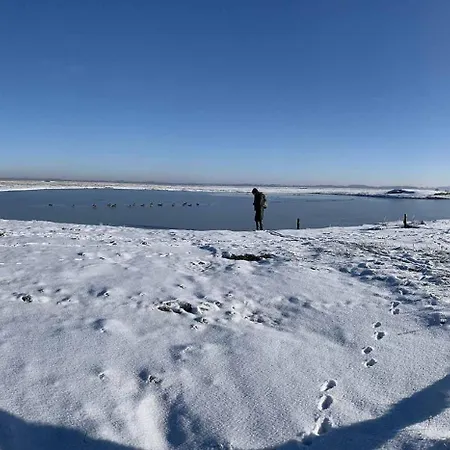 Rum i privatbostad Purple House