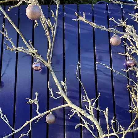 Purple House Privatunterkunft *