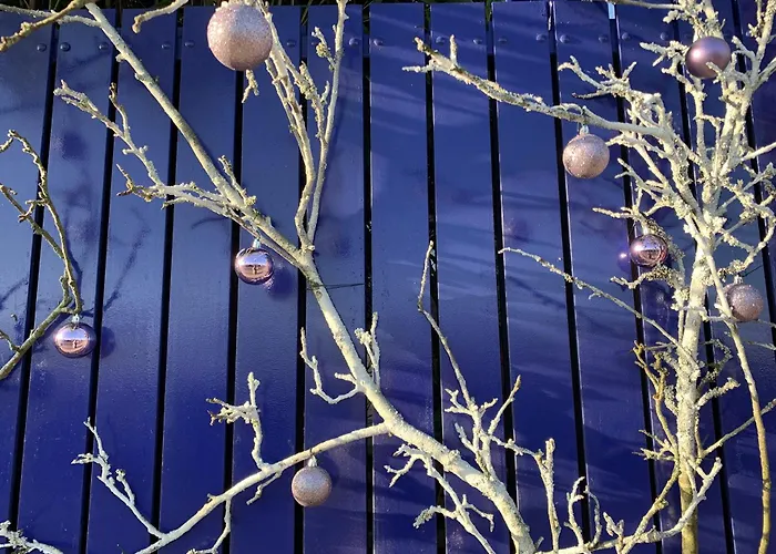 Purple House Homestay *